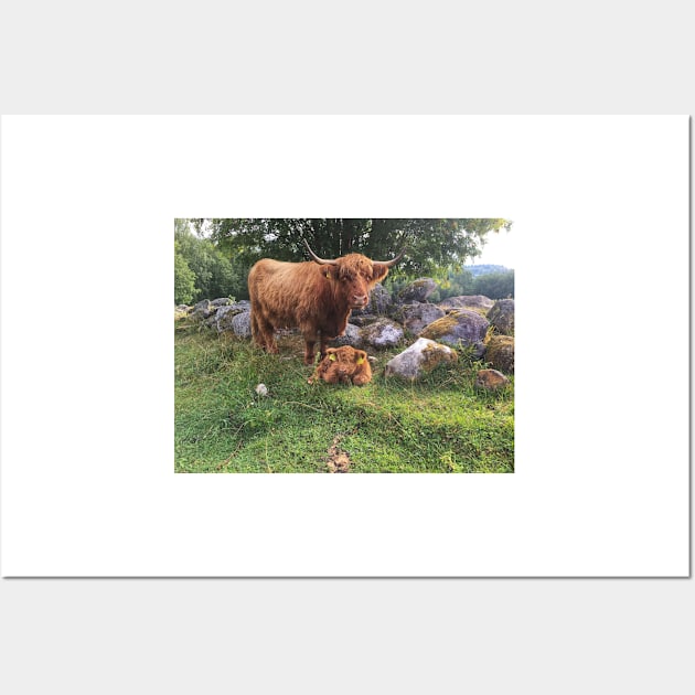 Scottish Highland Cattle Cow and Calf 1804 Wall Art by SaarelaHighland